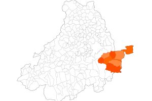 Quiénes somos